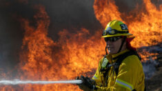 Declaran estado de emergencia en Islas Vírgenes estadounidenses por incendio en vertedero