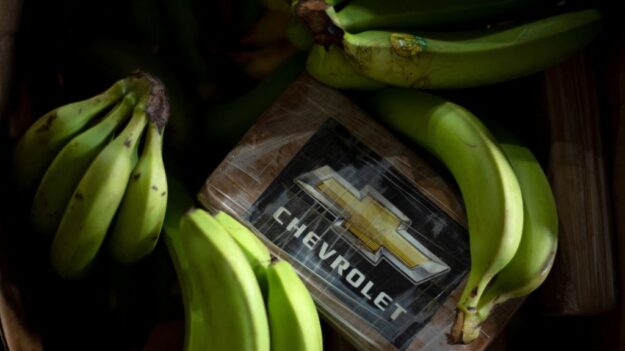 Incautan en España 1175 kilos de cocaína en un contenedor de plátanos procedente Ecuador