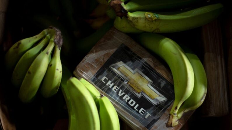 Foto muestra un paquete de cocaína entre plátanos de una incautación por un total de 9436 kilos, que fueron encontrados ocultos en un contenedor procedente de Ecuador, se ven durante una conferencia de prensa de la policía en el puerto de Algeciras, sur de España, el 25 de agosto de 2023. (Jorge Guerrero/AFP vía Getty Images)