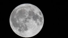La «Luna de la cosecha» baja será más grande como cuarta y última superluna de 2023