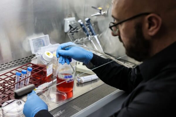 El Dr. Jacob Hanna, especialista en genética molecular del Instituto Weizmann de Ciencias de Israel, inyecta una solución utilizada para la disociación de células y tejidos en una bandeja de un laboratorio de la ciudad de Rehovot, en el centro de Israel, el 4 de agosto de 2022. (Ahmad Gharabli/AFP vía Getty Images)