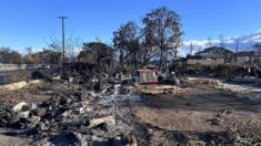 Autoridades rectifican el número de muertos de por los incendios en Maui y bajan a 97