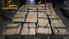 Operación internacional contra el ELN con 21 detenidos y 700 kilos de cocaína incautados