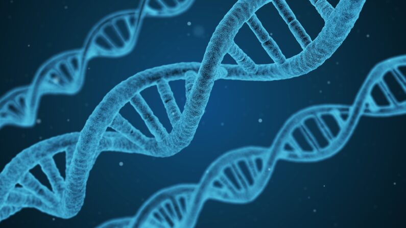 Hélice de ADN. (Arek Socha/Pixabay)