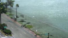 Huracán de categoría 2 Lee impacta en las Bermudas y avanza hacia Nueva Inglaterra