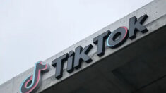 Un multimillonario donante debería dejar de oponerse a la prohibición de TikTok
