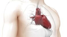 La amenaza persistente del COVID-19: Un aumento de una rara y peligrosa condición cardíaca