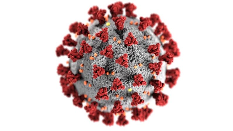 (CDC/ Pexels) https://www.pexels.com/es-es/foto/coronavirus-3992933/