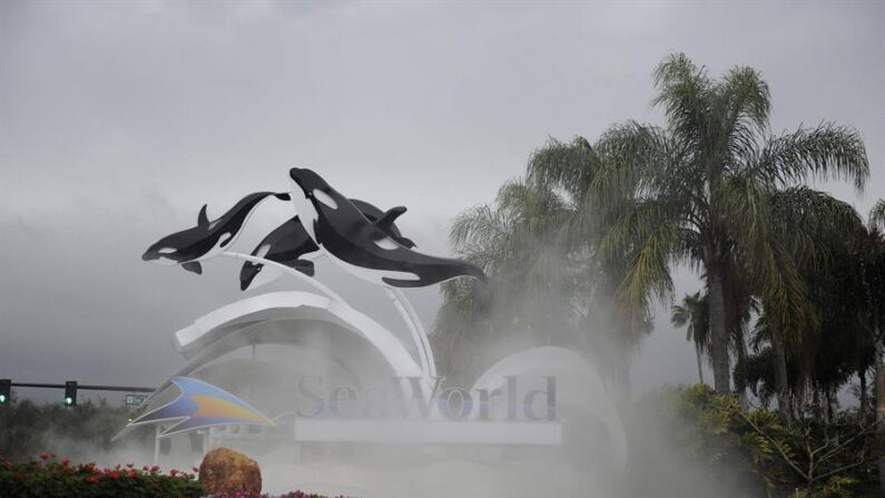 Vista general del parque temático SeaWorld (Mundo Marino) de Orlando, Florida (EE.UU.). Fotografía de archivo. EFE/Perston Mack