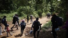 Costa Rica movilizó a más de 14,000 migrantes de frontera a frontera en la última semana