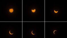 Así se vivió el eclipse solar anular el 14 de octubre en México