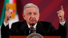 AMLO decreta expropiación de 93 hectáreas más para el Tren Maya en Yucatán y Quintana Roo