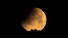 Eclipse lunar parcial este sábado, dónde y a qué hora verlo en México