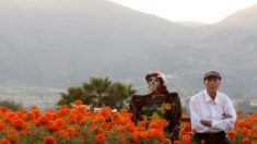 Sembradores de México esperan que el Día de Muertos les ayude a sobrevivir la sequía