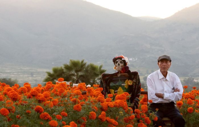 Una foto de archivo de un hombre mayor sentadi en un campo de flores de Cempazuchitl (Caléndula Mexicana) como parte de los preparativos para la celebración del Día de Muertos en Tlajomulco de Zúñiga, estado de Jalisco, México, el 26 de octubre de 2023. (ULISES RUIZ/AFP via Getty Images)
