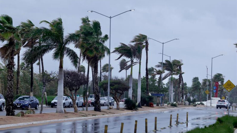 Fotografía de archivo de fuertes vientos por la llegada de un huracán en Los Cabos (México). EFE/Jorge Reyes