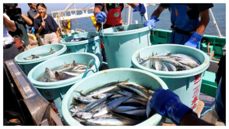 Barcos pesqueros chinos capturan marisco en aguas de Japón mientras Pekín prohíbe importaciones japonesas