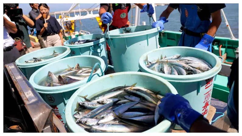 Trabajadores de la pesca descargan marisco capturado en la pesca de arrastre en alta mar en el puerto de Matsukawaura en la ciudad de Soma, prefectura de Fukushima, el 1 de septiembre del 2023, (STR/JIJI Press/AFP via Getty Images)