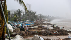Otis en imágenes: El huracán categoría 5 rompió récord de intensificación y devastó Guerrero