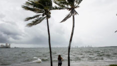 Tammy amenaza con vientos huracanados y lluvias a islas caribeñas este fin de semana