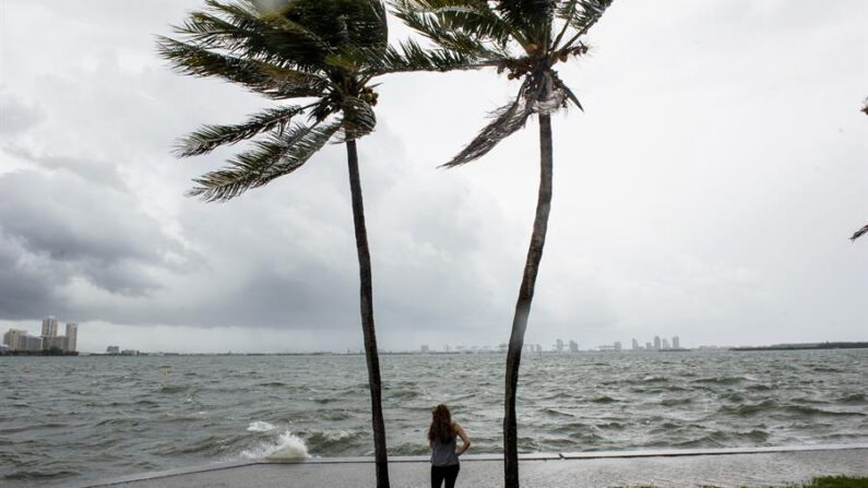 El NHC emitió este sábado una alerta de huracán para las próximas 36 horas para Guadalupe, Antigua, Barbuda, Montserrat, San Cristóbal y Las Nieves, Anguila, San Martín y San Bartolomé. Fotografía de archivo. EFE/Giorgio Viera