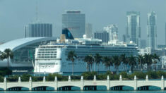 El puerto de Miami recibirá ocho nuevos cruceros para la temporada 2023-2024