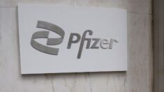 Pfizer excluyó muertes en ensayos clínicos de solicitud de EUA para vacuna contra COVID, según estudio
