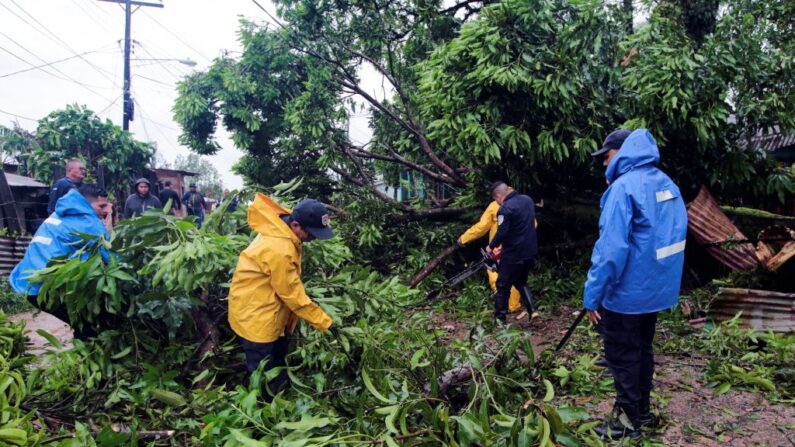 Miembros de la Policía Nacional de Nicaragua intentan podar los árboles caídos tras el paso del huracán Julia en la ciudad de Bluefields, en la costa caribeña de Nicaragua, el 9 de octubre de 2022. (Oswaldo Rivas/AFP vía Getty Images)