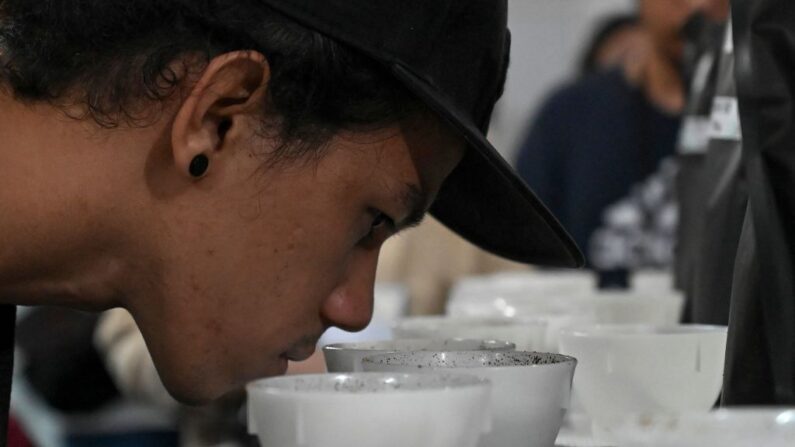 Un hombre huele unas tazas de café mientras participa en un taller de cata en la Exposición del Café de Filipinas en Pasay, Metro Manila, el 2 de junio de 2023. (Jam Sta Rosa/AFP vía Getty Images)