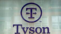 Tyson Foods compra una participación en la empresa de proteínas de insectos Protix