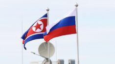 Casa Blanca: Corea del Norte envió más de 1000 contenedores de munición a Rusia