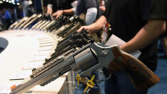 EE.UU. paraliza las exportaciones de la mayoría de las armas de fuego de uso civil durante 90 días