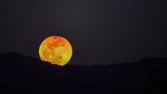 La Luna llena del Cazador adornará el cielo otoñal de octubre de 2023  — Todo lo que necesitas saber