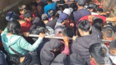 Hallan a 130 migrantes guatemaltecos en Veracruz, el chofer huyó y dejó en marcha el camión