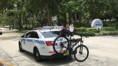 Acusan a 17 policías de Florida de fraude tras recibir ayudas del Gobierno por la covid-19