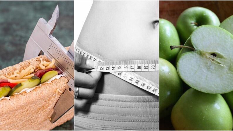 Dieta, estomago y sistema digestivo. (SK/Pixabay)