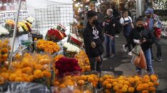 Aduanas de EE.UU. alerta sobre plantas procedentes de México prohibidas en Día de Muertos