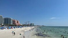 Playas de Florida están bajo aviso de «no nadar» tras detectarse altos niveles de bacterias en el agua