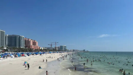 Playas de Florida están bajo aviso de «no nadar» tras detectarse altos niveles de bacterias en el agua