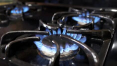 Grupos industriales demandan por la prohibición de las estufas de gas en Nueva York