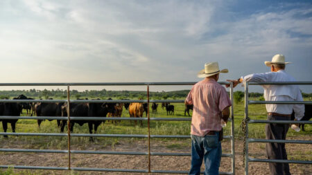 EN DETALLE: Proposición 1 de Texas pretende proteger a productores y garantizar la seguridad alimentaria