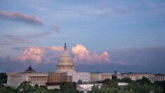 Congresista: Legisladores duermen en el Capitolio de EE.UU. debido a ola de delincuencia «muy peligrosa»