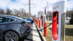 La mayor estación de carga de autos Tesla en EE.UU. funciona con diésel, según experto en energía