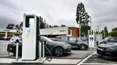 Los autos eléctricos serán el “próximo gran fracaso” del mercado, según un economista de FreedomWorks