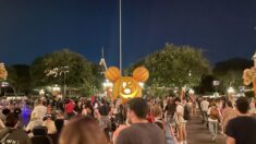 Disneyland Resort rebaja precios en boletos para niños para inicios del próximo año