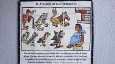 Digitalizan Códice Florentino, un antiguo escrito sobre la vida precolonial en México