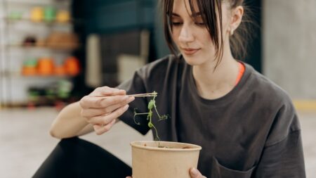 Comer de forma consciente: Consejos para mantener sano su «segundo cerebro»