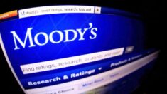 Moody’s prevé que aseguradoras asumirán el mayor impacto tras golpe de Otis en México