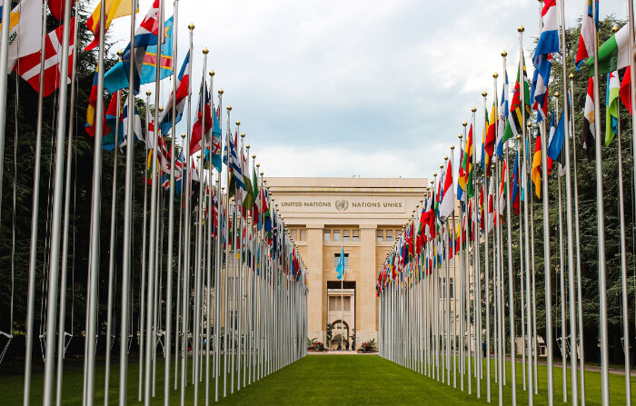 Banderas de países miembros de la ONU, con edificio del organismo al fondo. (Mathias Reding/Pexels)