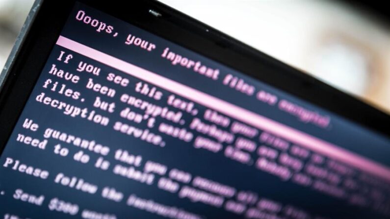 Los 'hackers' utilizaron un prestamista de servidores surcoreano "poco monitoreado" para acceder a los sitios web de empresas e instituciones surcoreanas. EFE/Rob Engelaar/Archivo 
